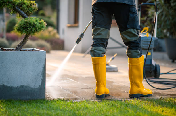 Best Pressure Washing Near Me  in Whitesboro, NJ
